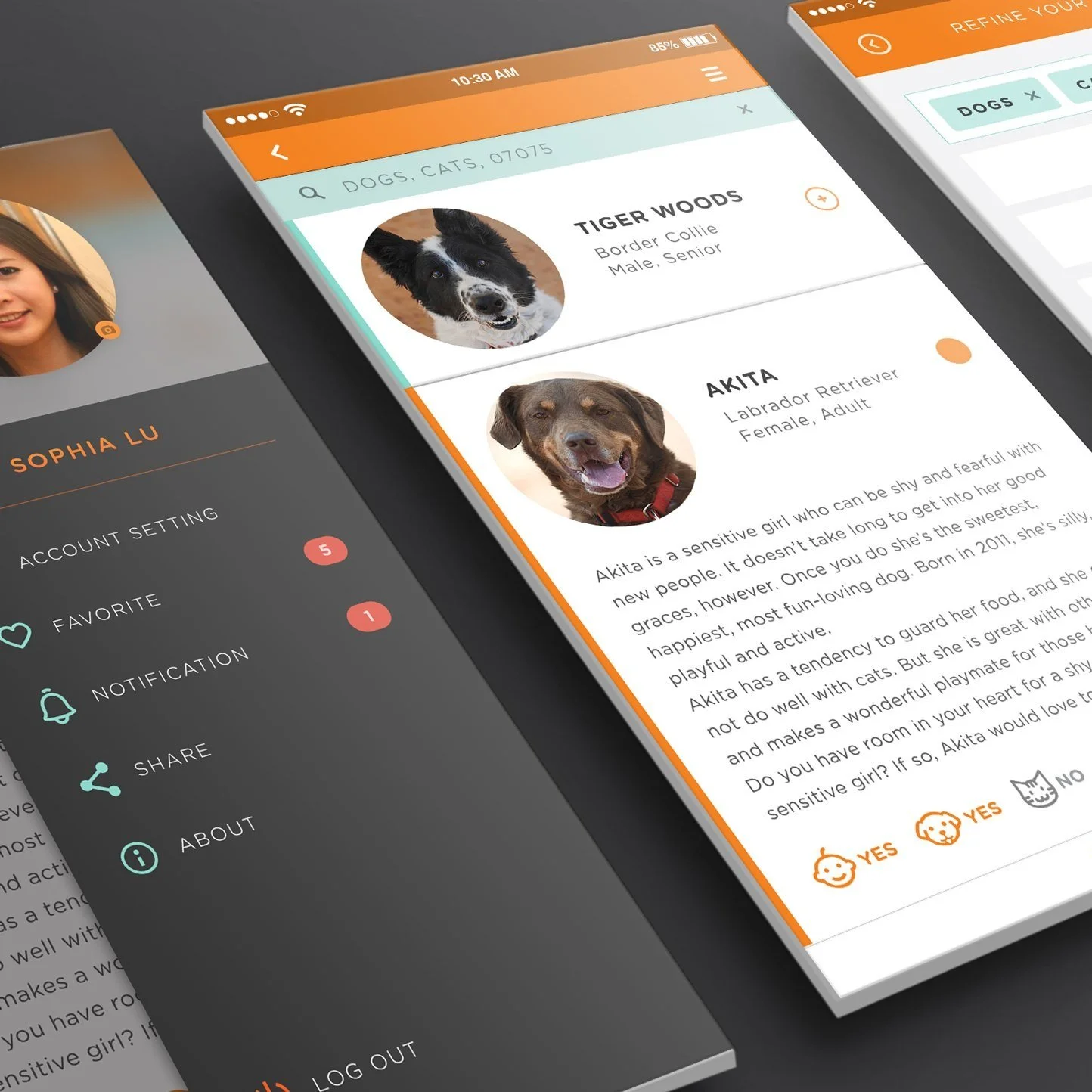 UI/UX