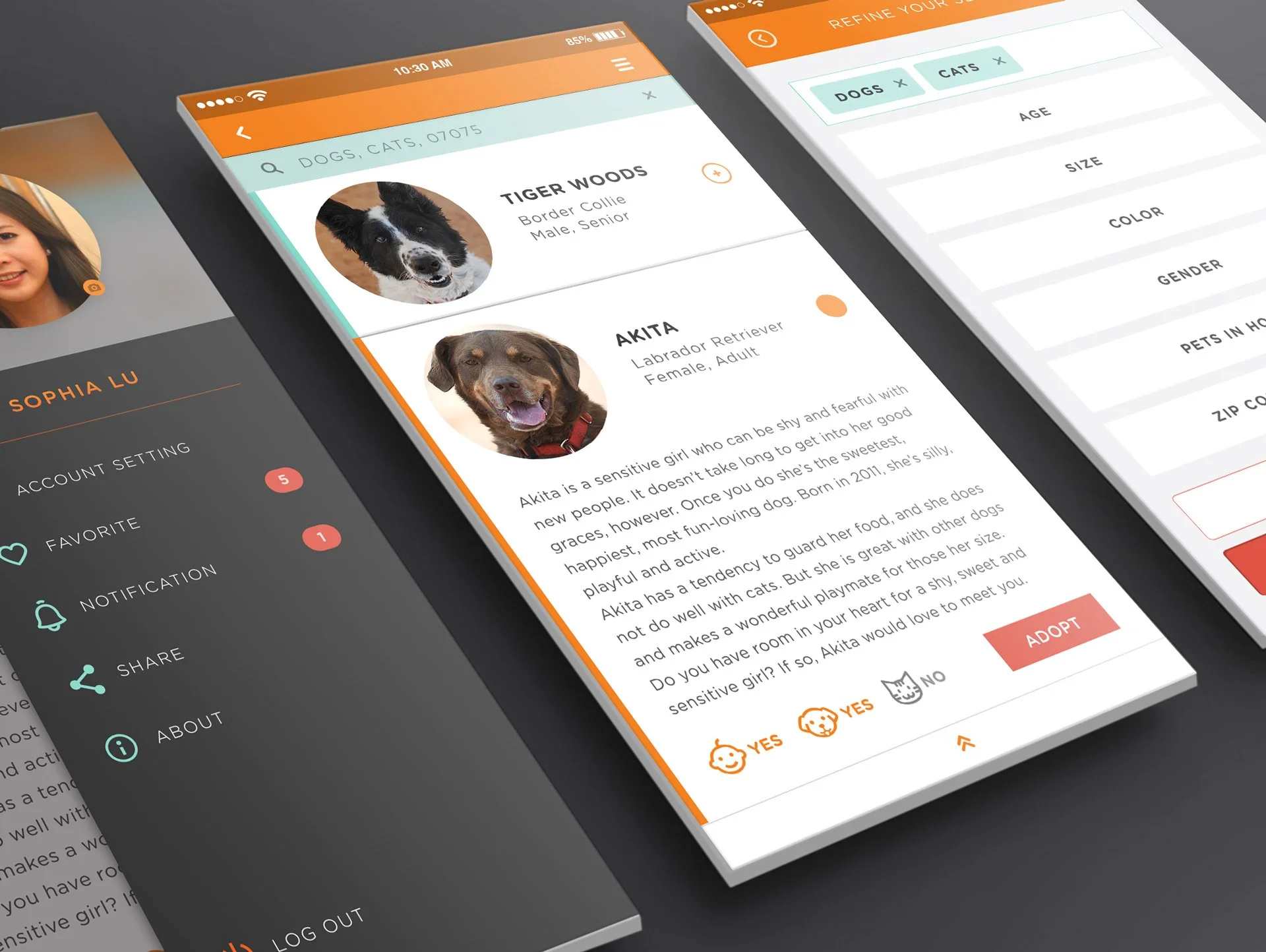 UI Design