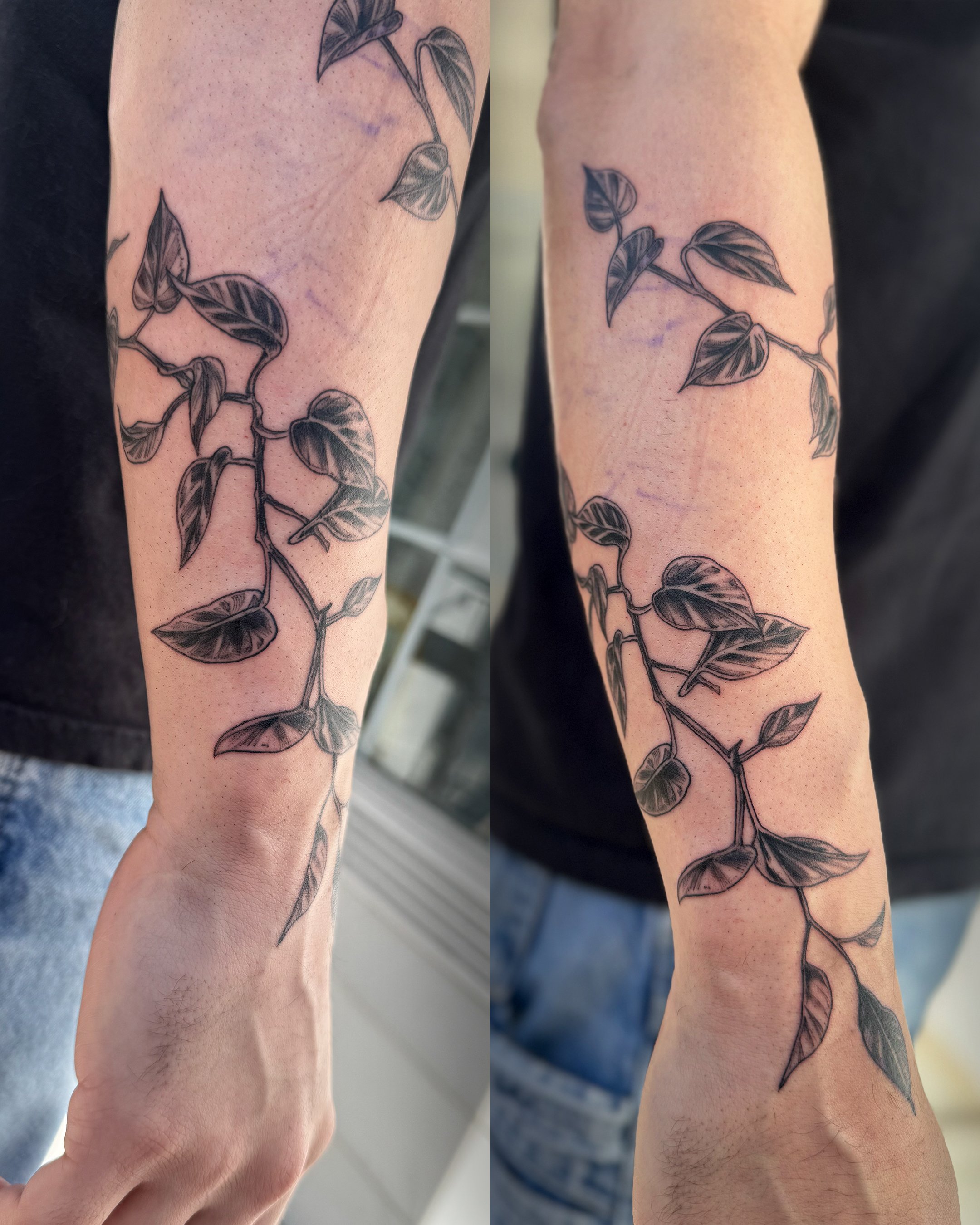 A black and gray tattoo of a leafy vine runs along the person's arm, featuring detailed leaves and a slender branch.