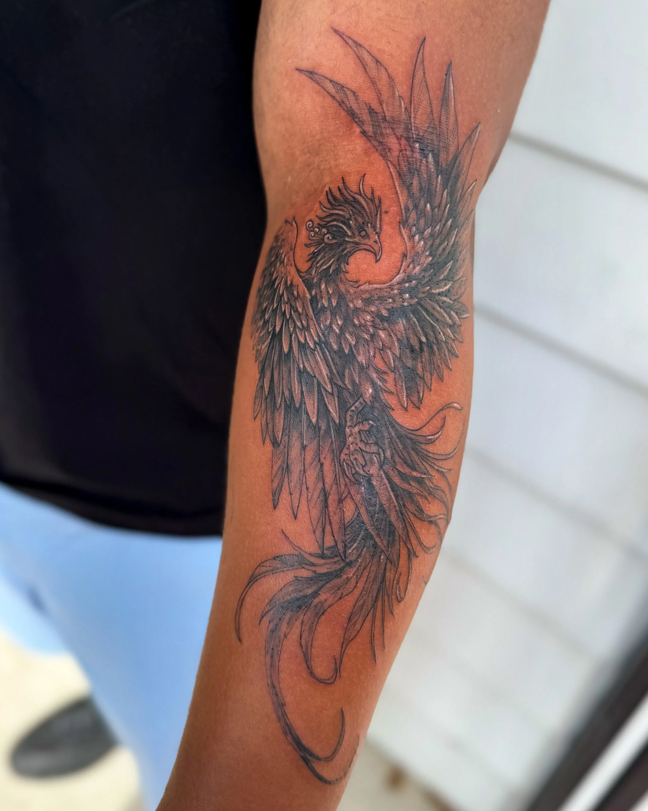 Tattoo of a phoenix on a person's forearm, depicted with detailed feathers and an intricate design style.