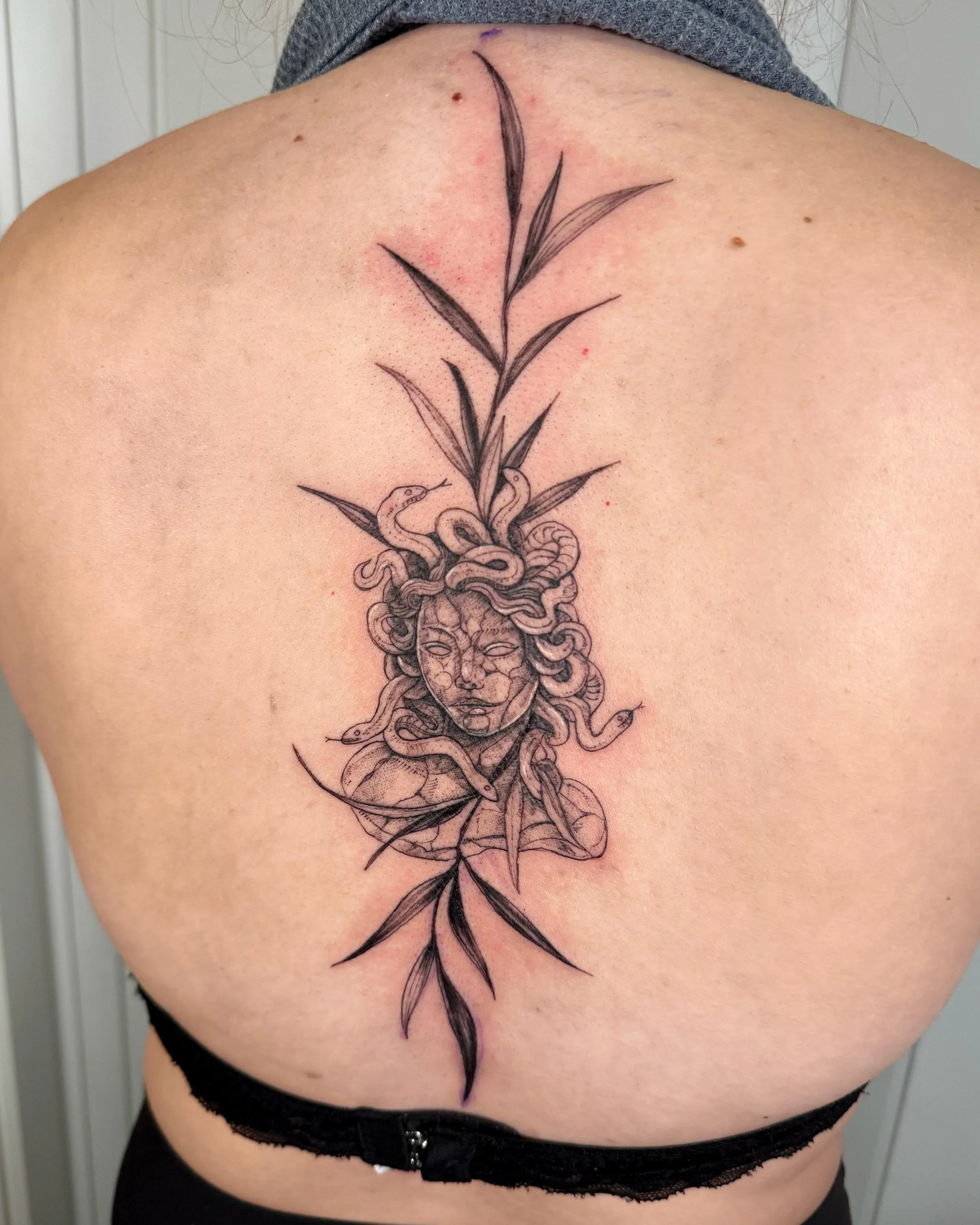 Tattoo on back featuring a stylized flowering plant with leaves and snakes intertwined around its base.