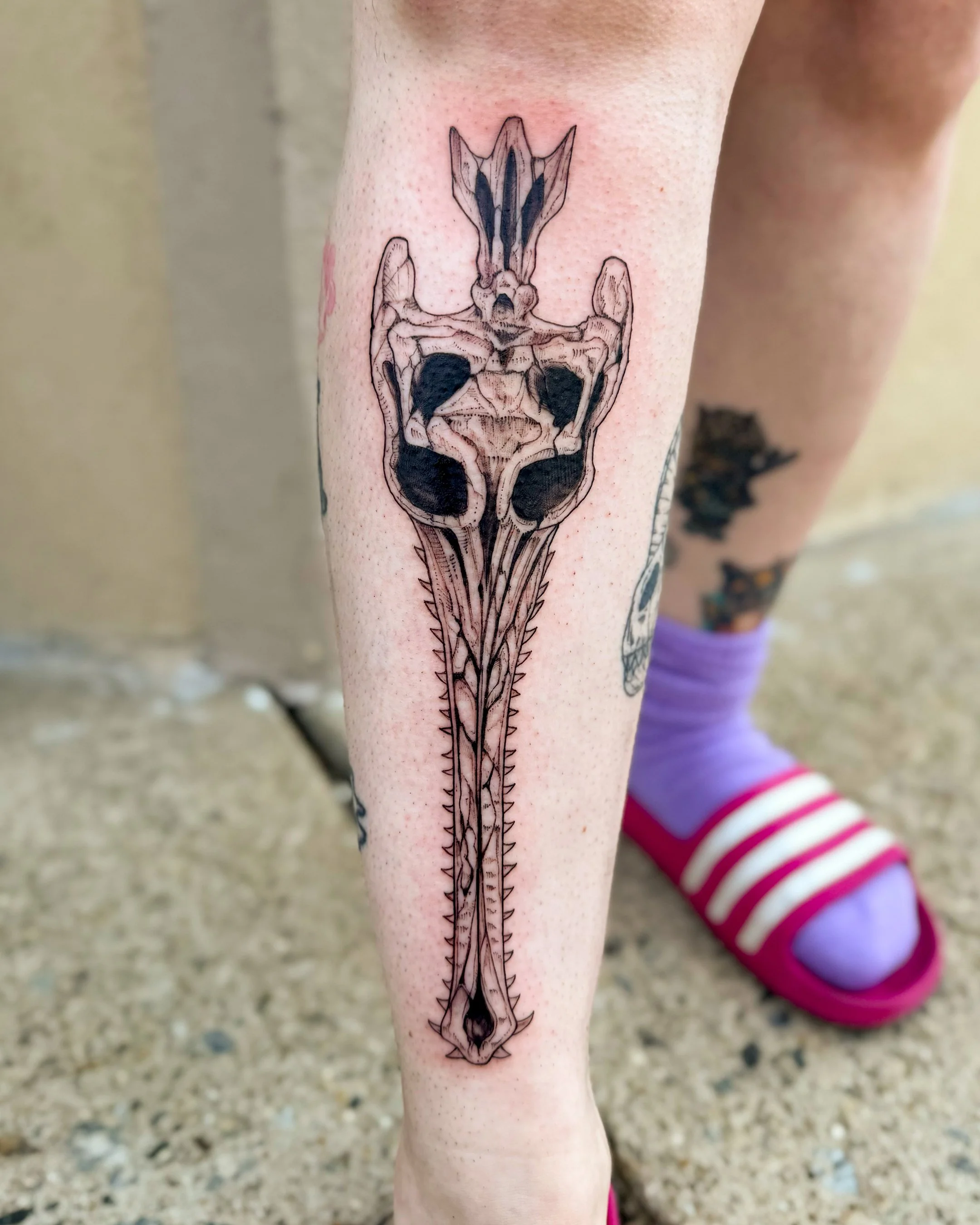 Tattoo of a detailed animal skull with a long, thin spear-like object extending downward, on a person's lower leg.