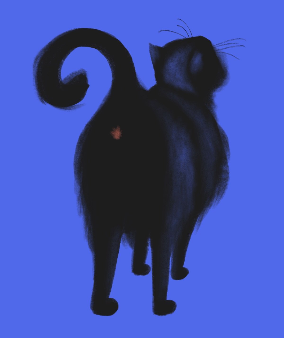 610EB3A4-D823-4429-830D-2572A62930F4.jpeg