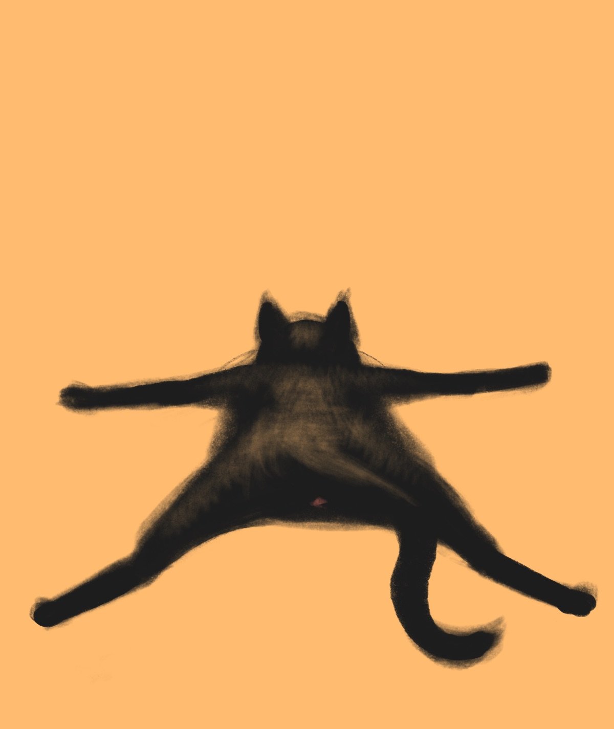 8457D029-3484-443A-A1E6-B415259CC9BE.jpeg