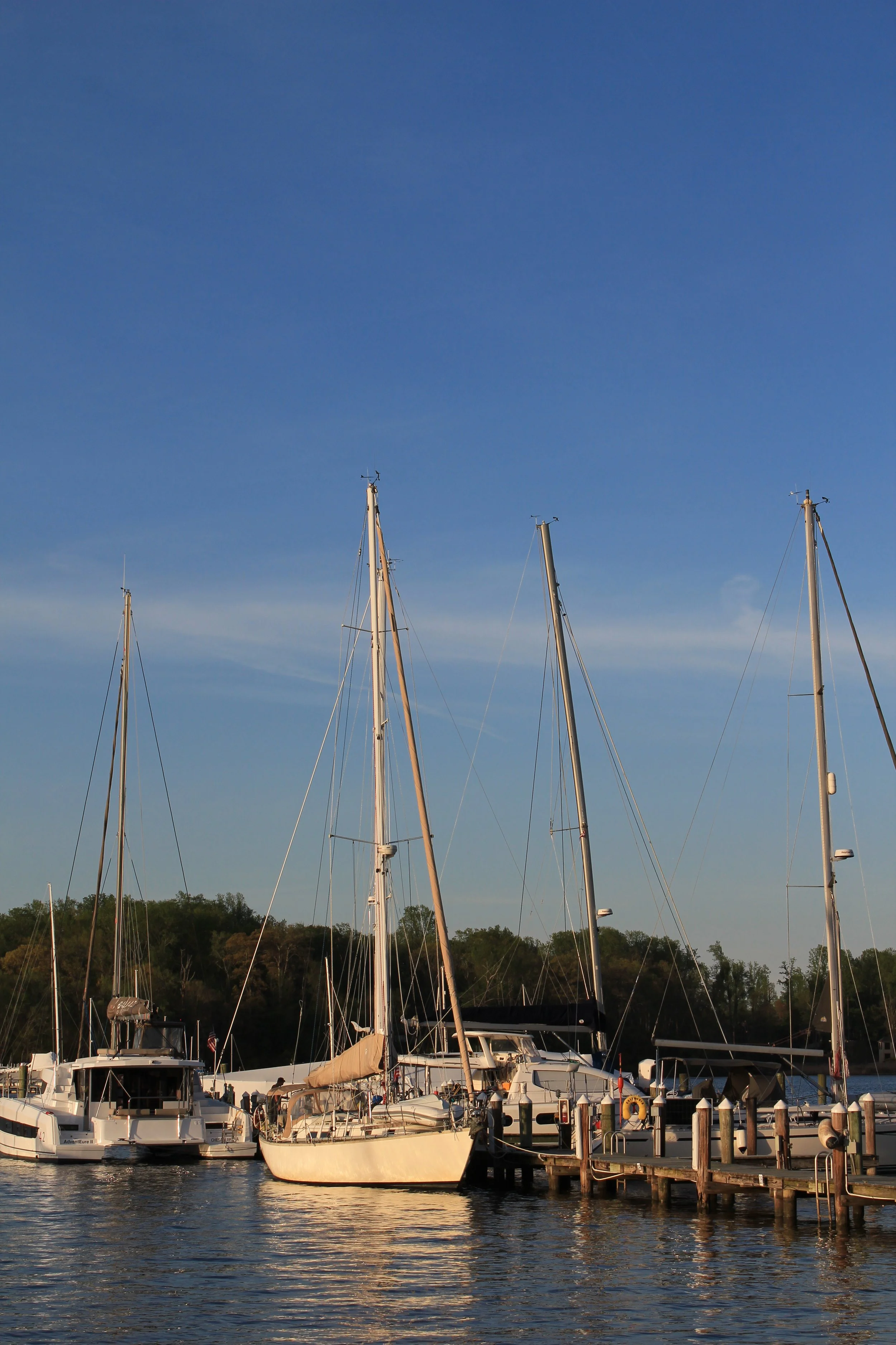 Marina Sailboats