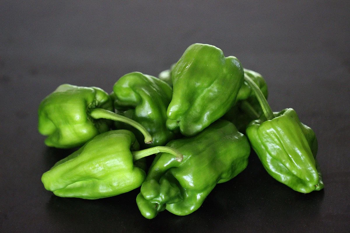 Le Petit Marseillais