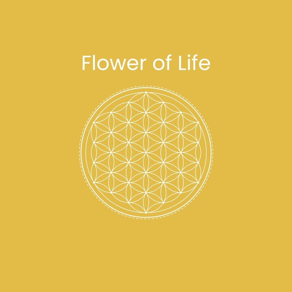 Flower of Life — Danica Apolline-Matić