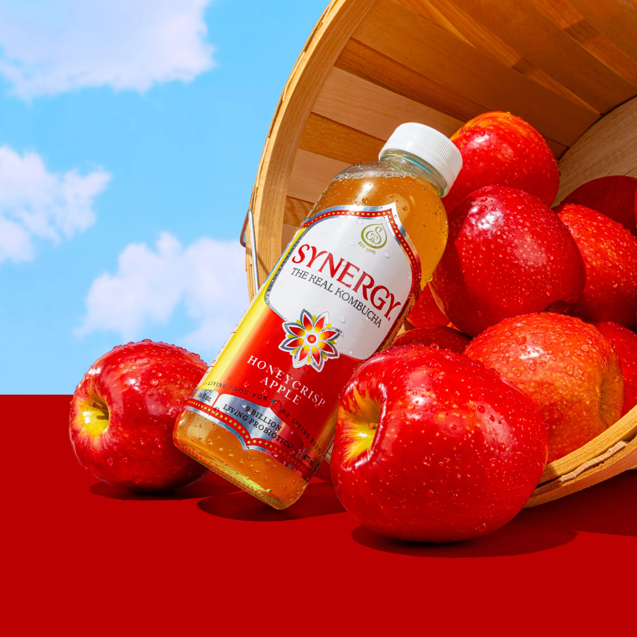 Synergy Kombucha