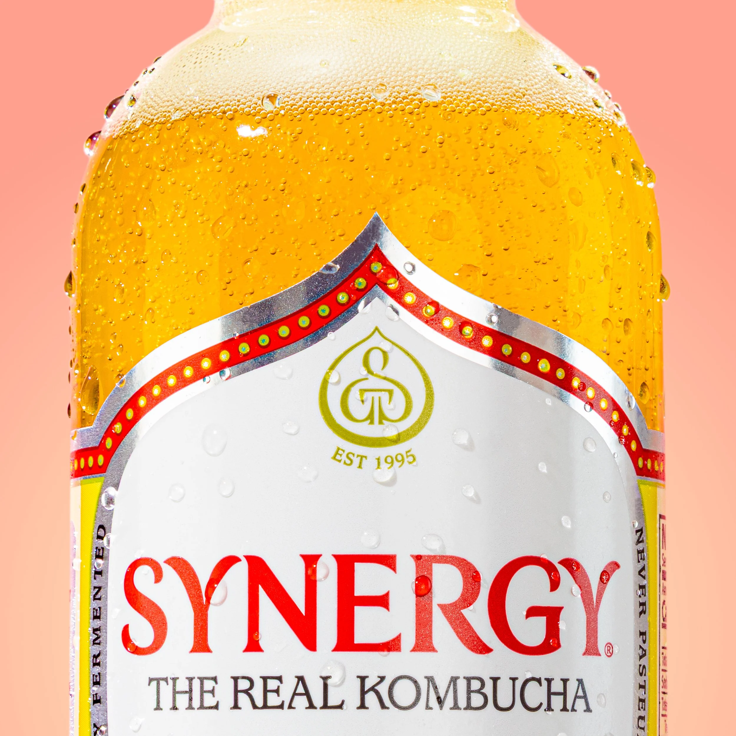 Synergy_10-25-332_1x1.jpg