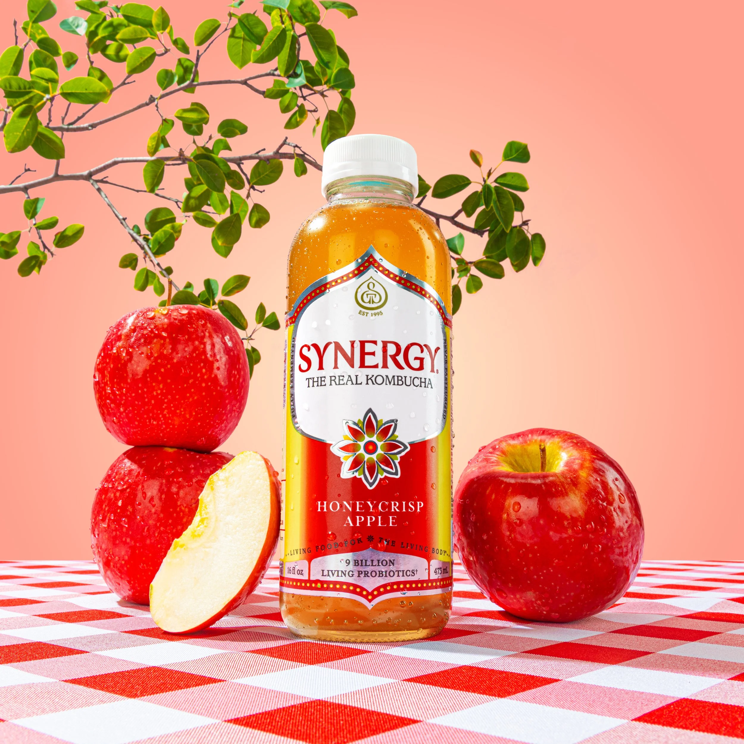 Synergy_10-25-163_1x1.jpg