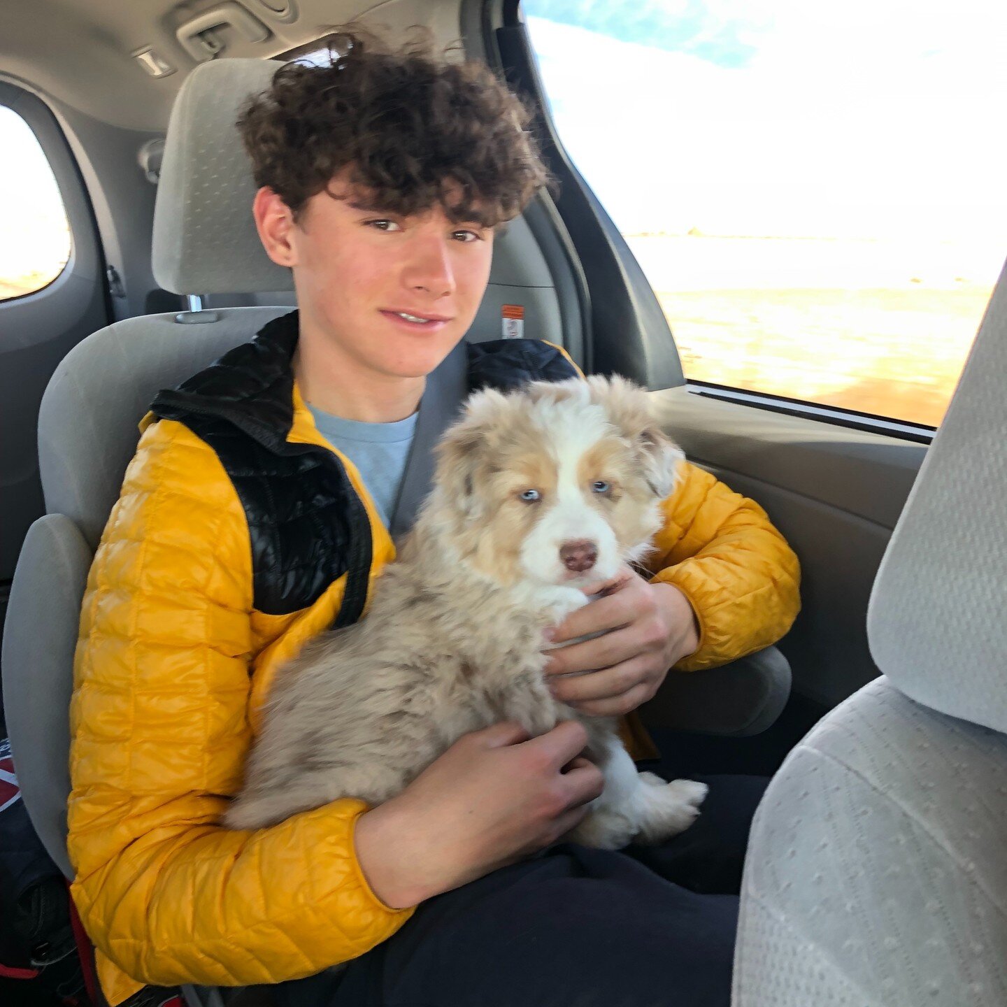 Two years ago today, we brought home Zuma. It was shortly after Magnus&rsquo;s beloved dog Oslo passed. Magnus didn&rsquo;t want to go through the rest of high school without a dog&hellip;so we found this goofy furball on a farm in Eastern Colorado.
