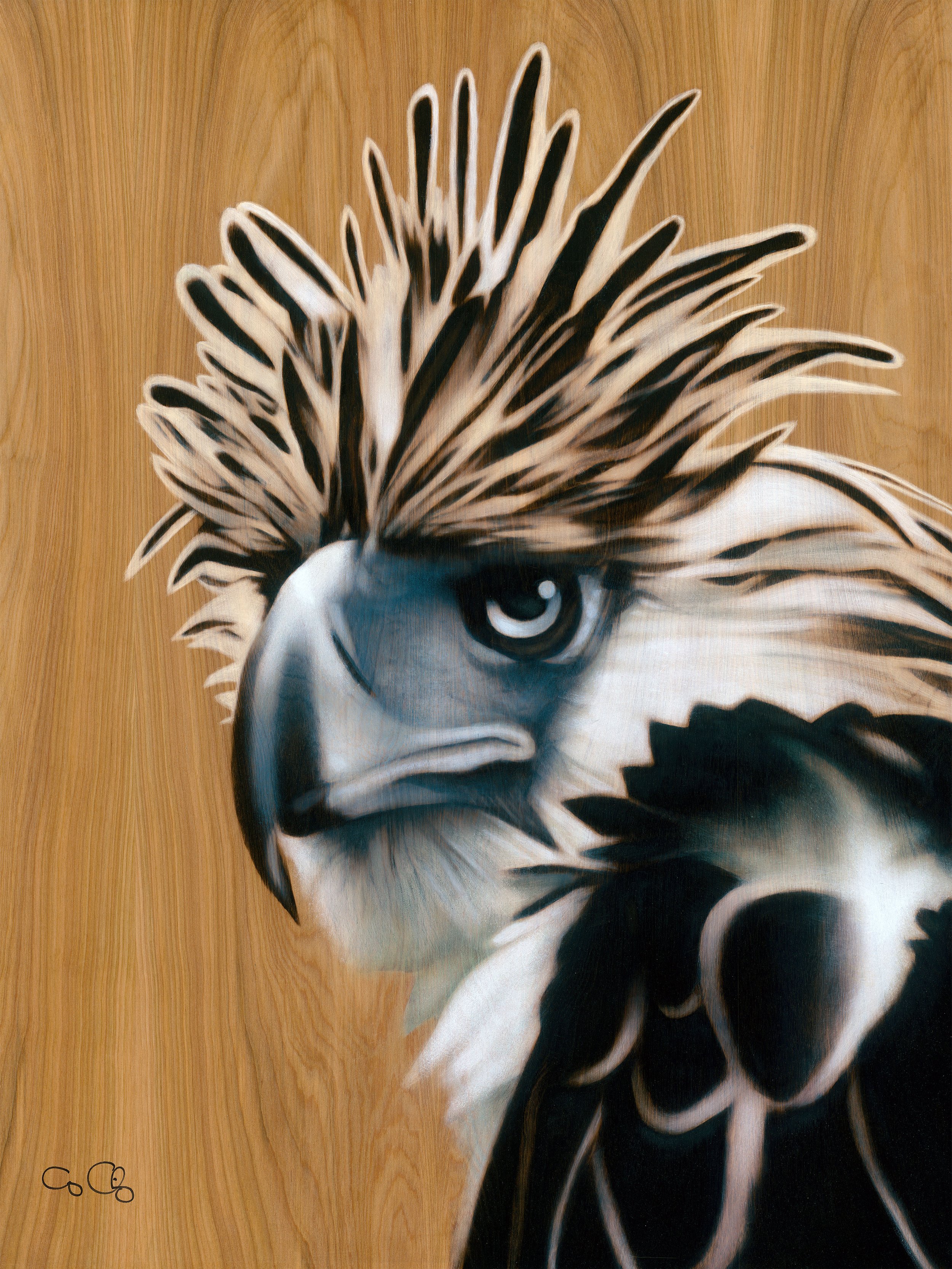 Philippine Eagle (Original Available for Purchase)