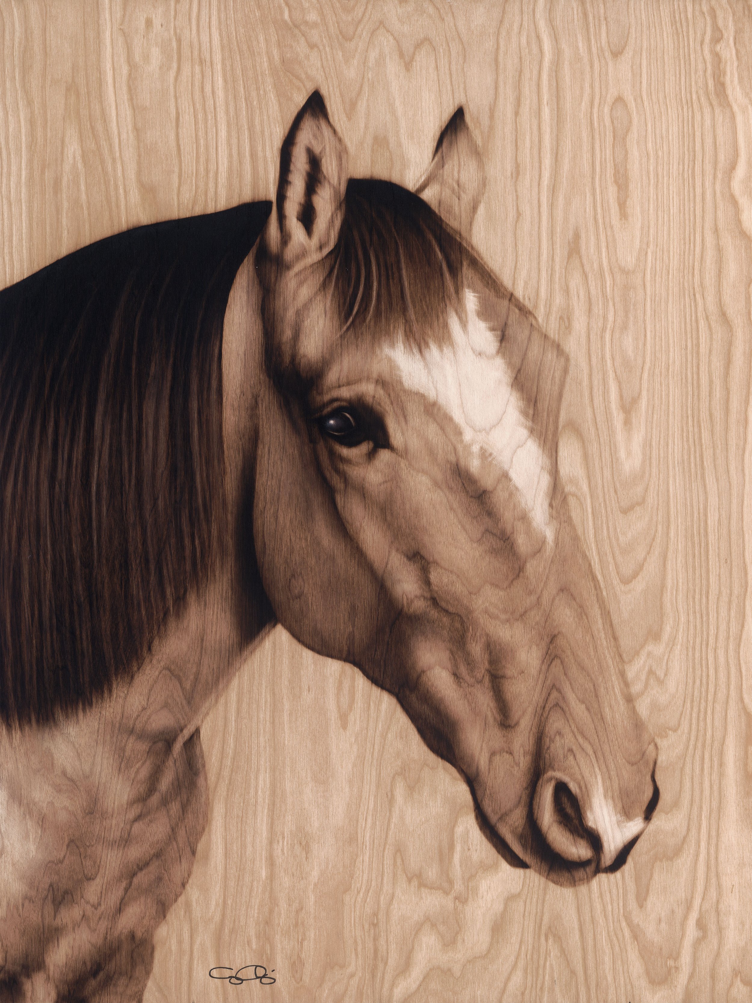Snickers (SOLD)