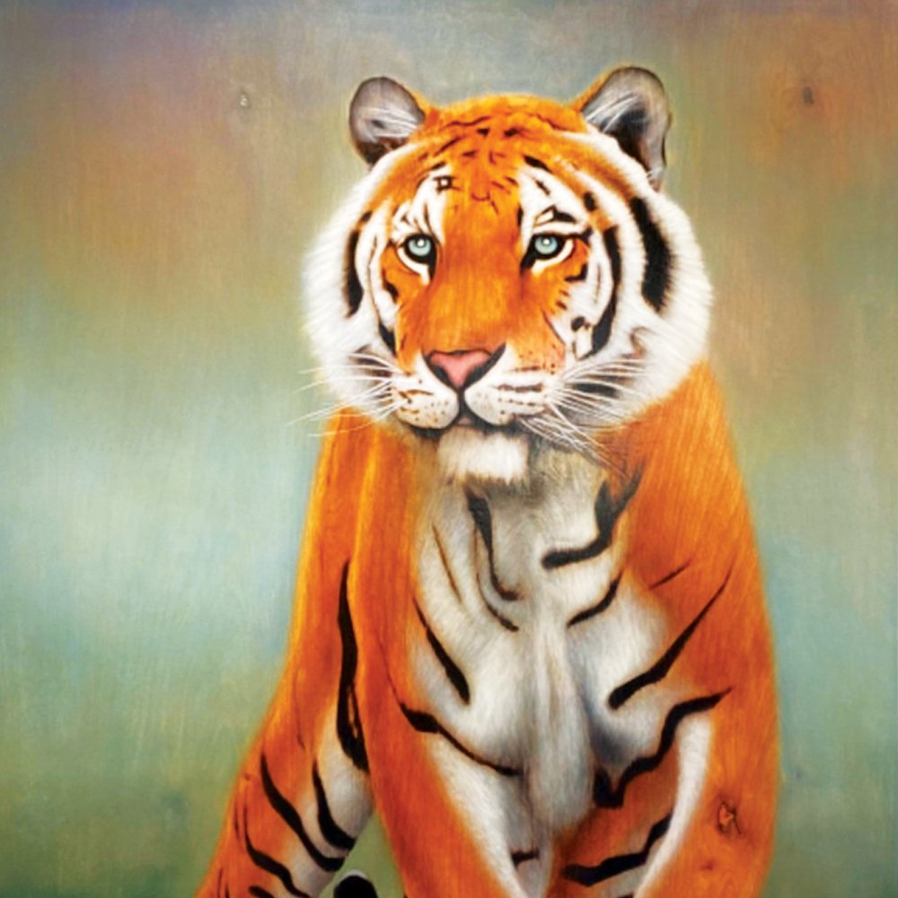 Painted Tiger (Original Available for Purchase)
