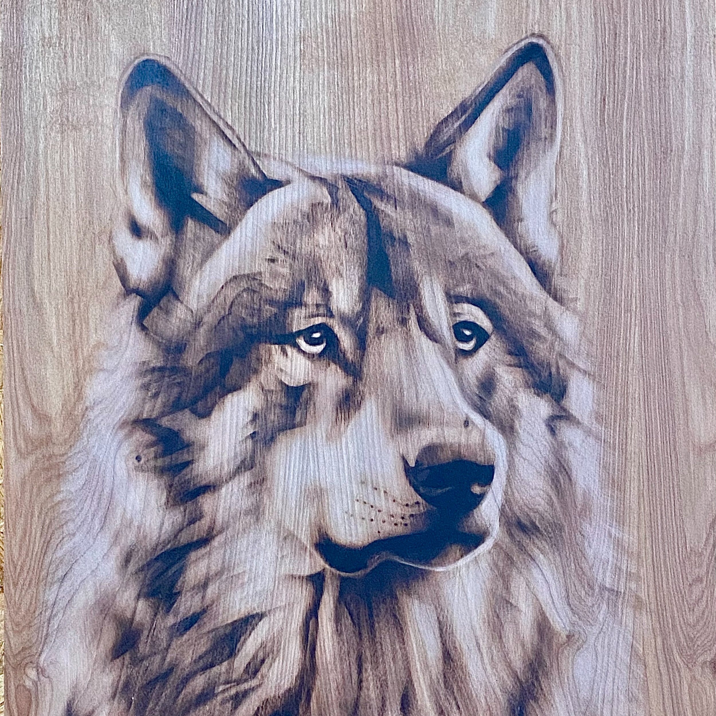 Wolf (SOLD)