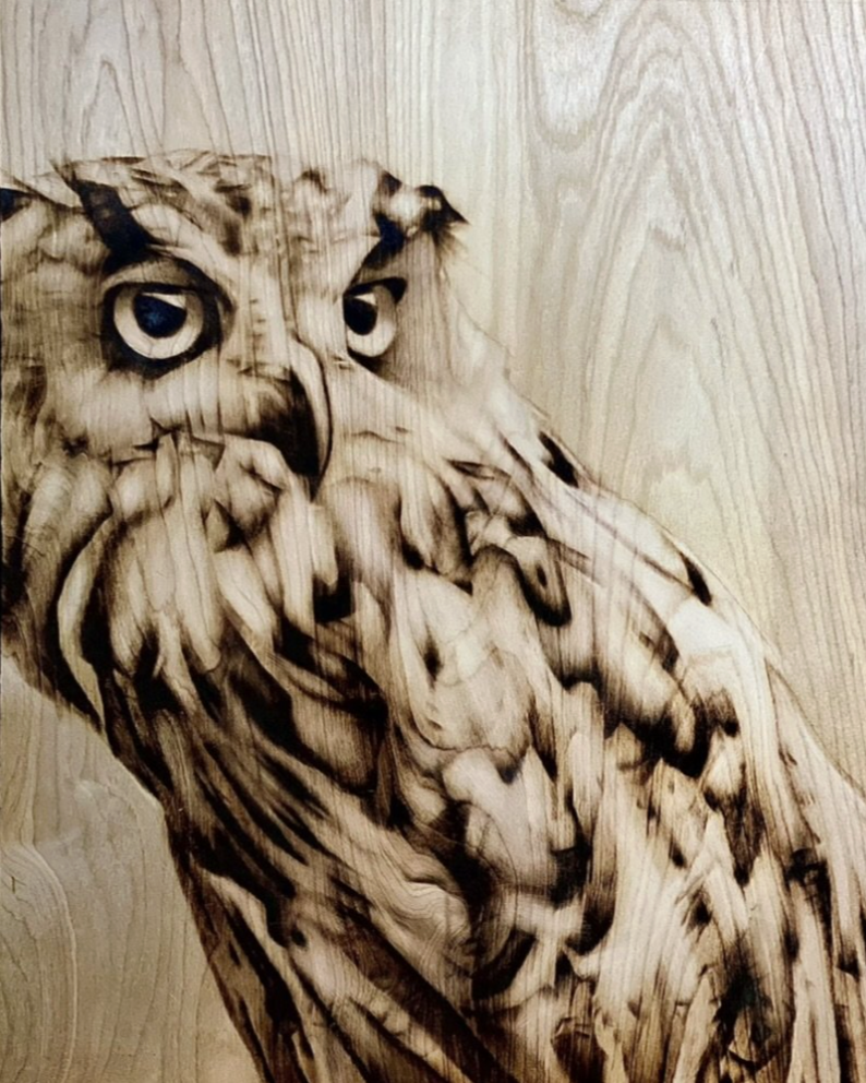 Owl (SOLD)