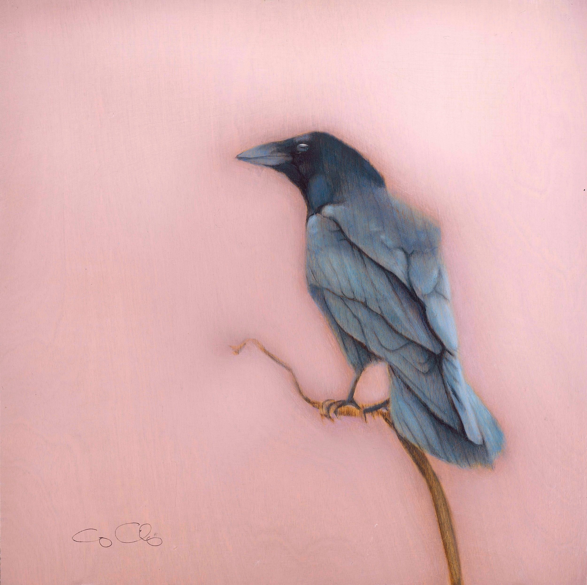 Crow (SOLD)