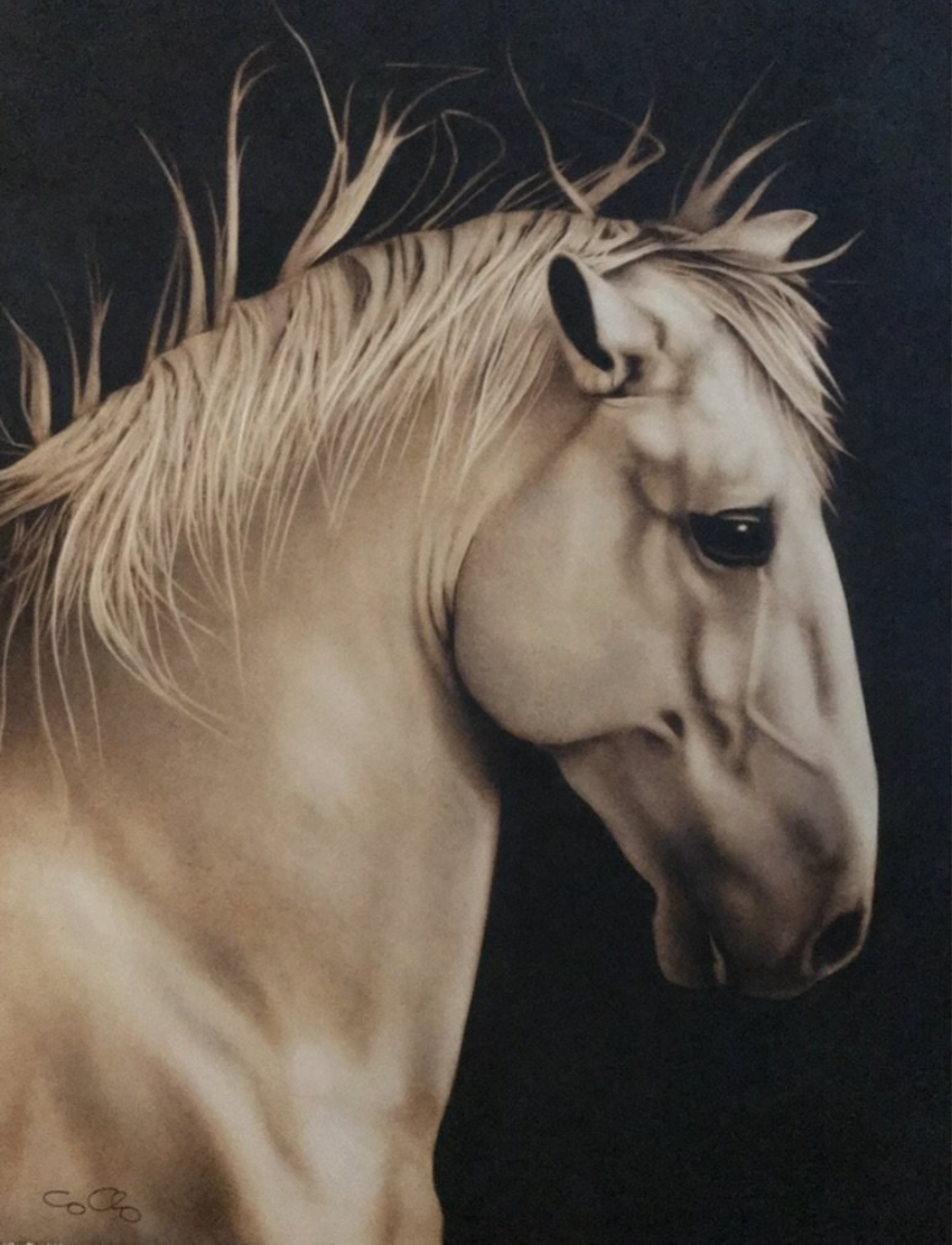 Apollo (SOLD)
