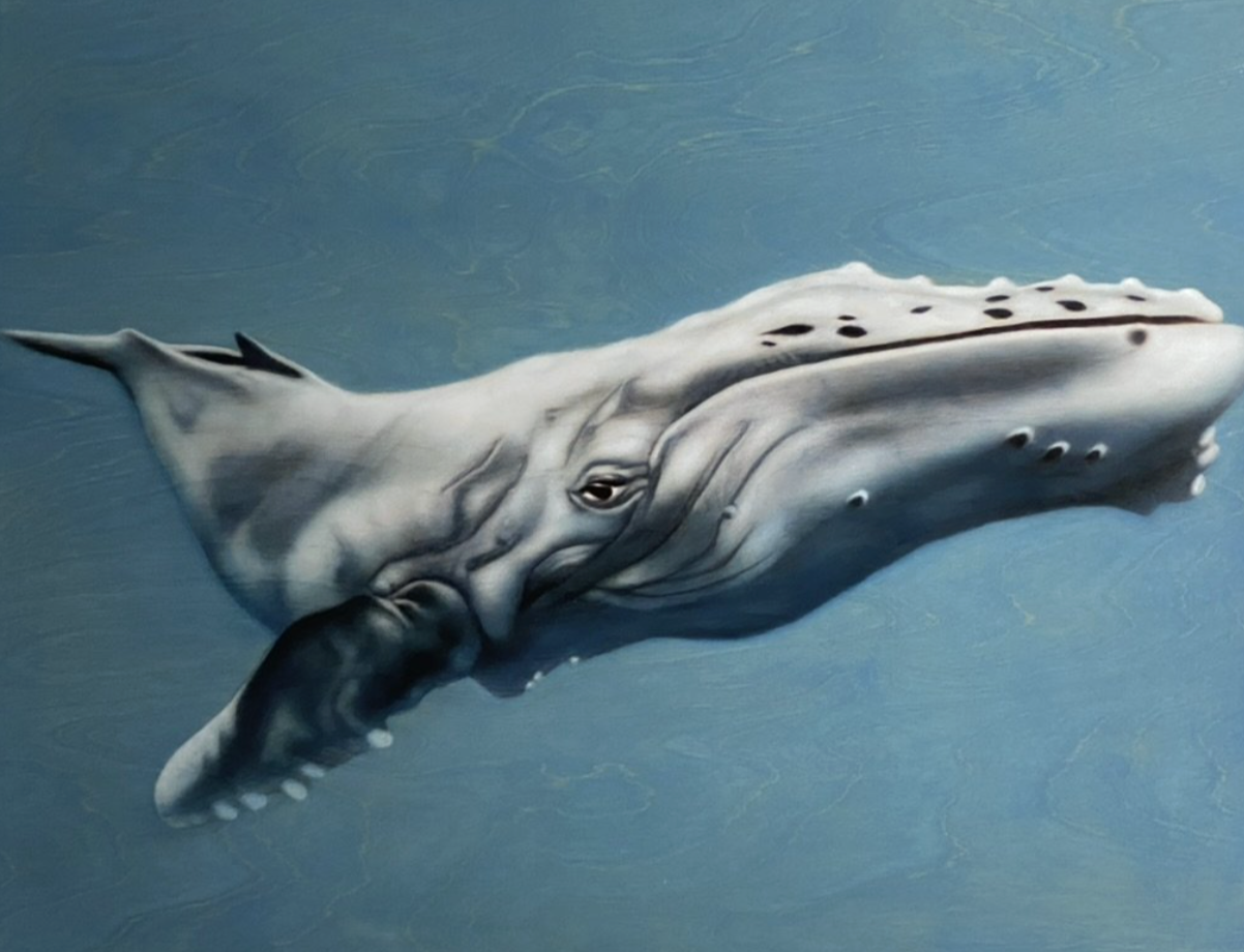 Painted Whale (SOLD)