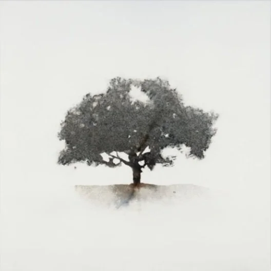 "Essential Growth 2"