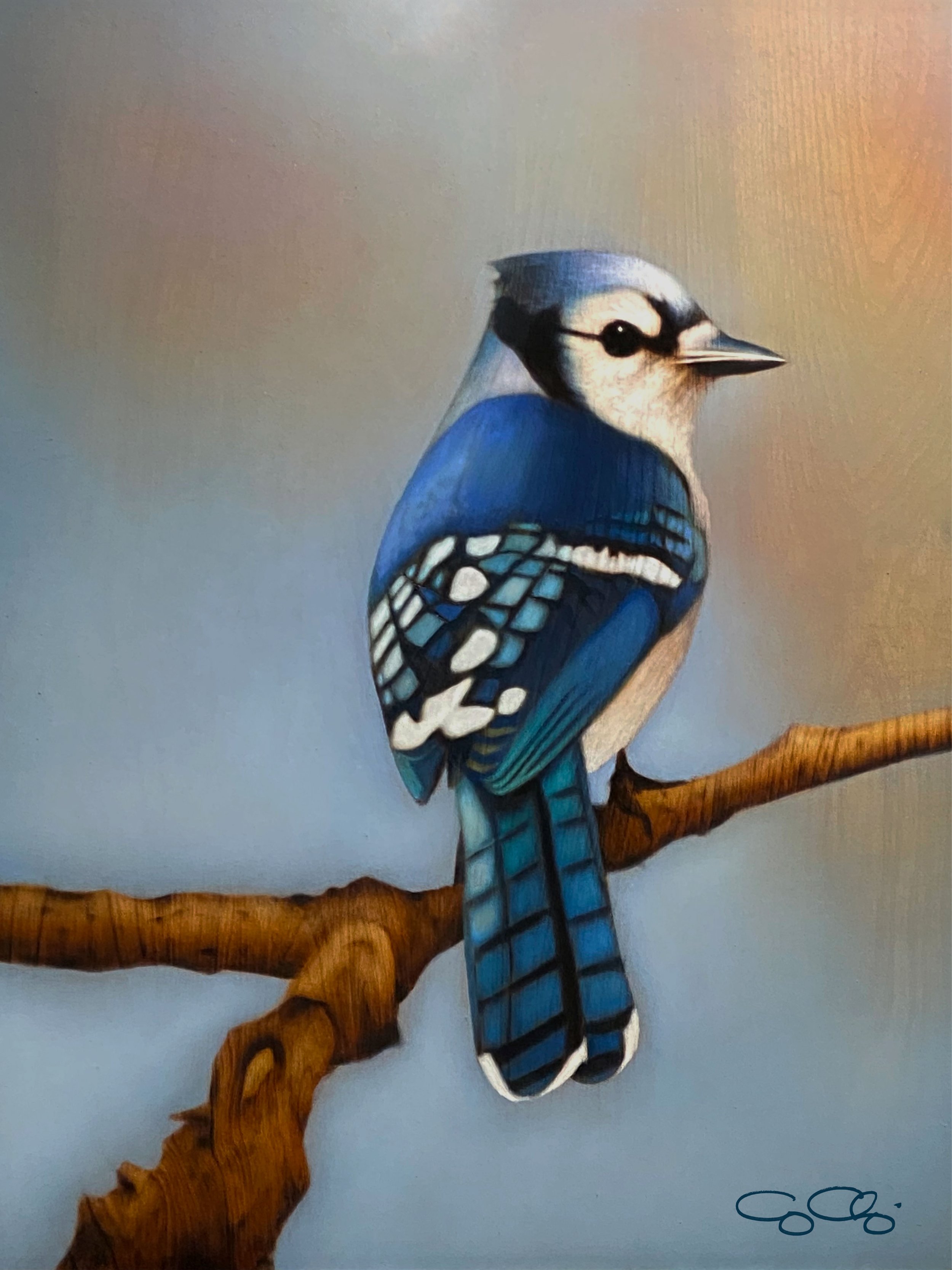 Blue Jay Painted (SOLD)