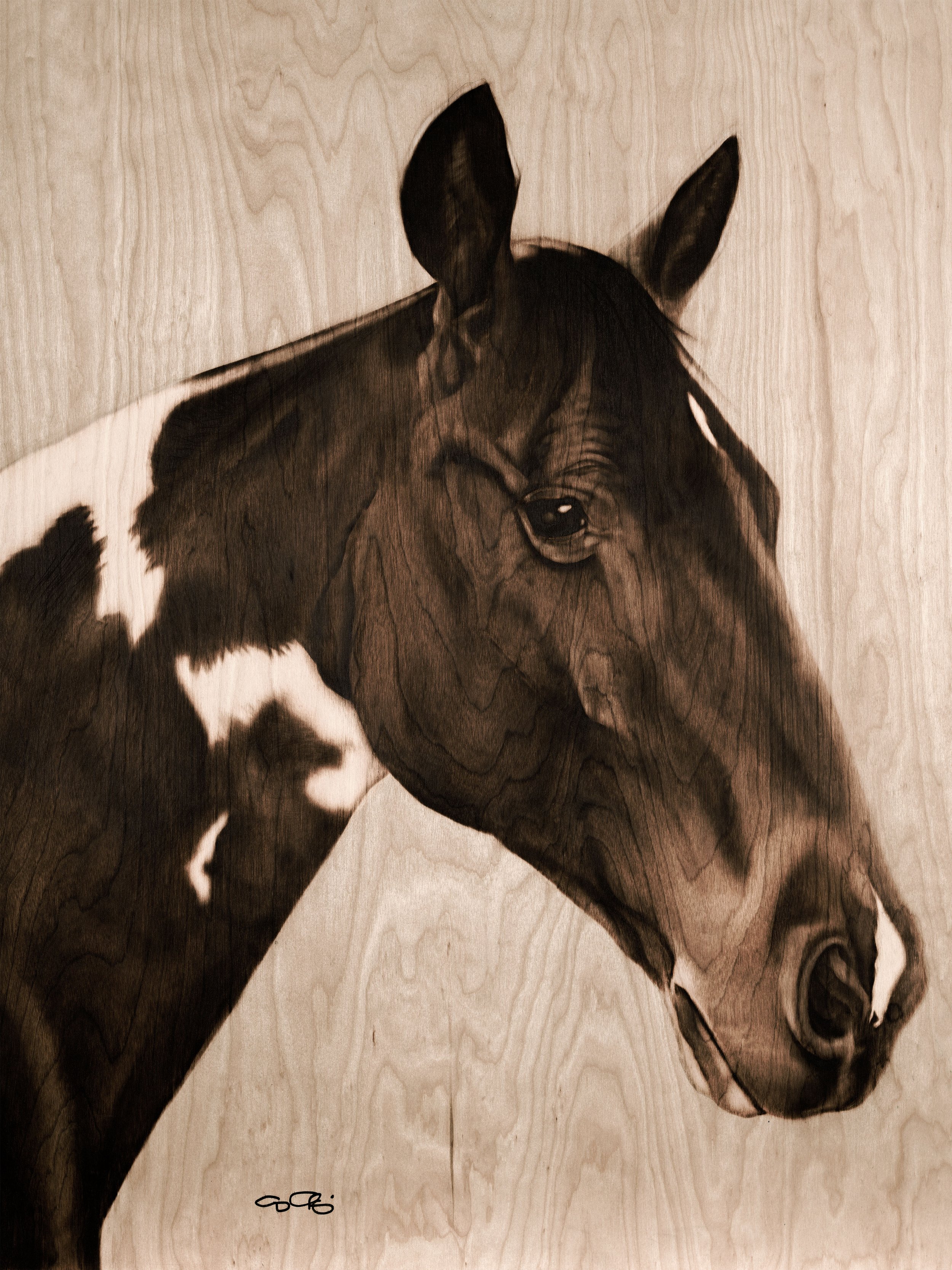 GCE Gambler 12x16.jpg