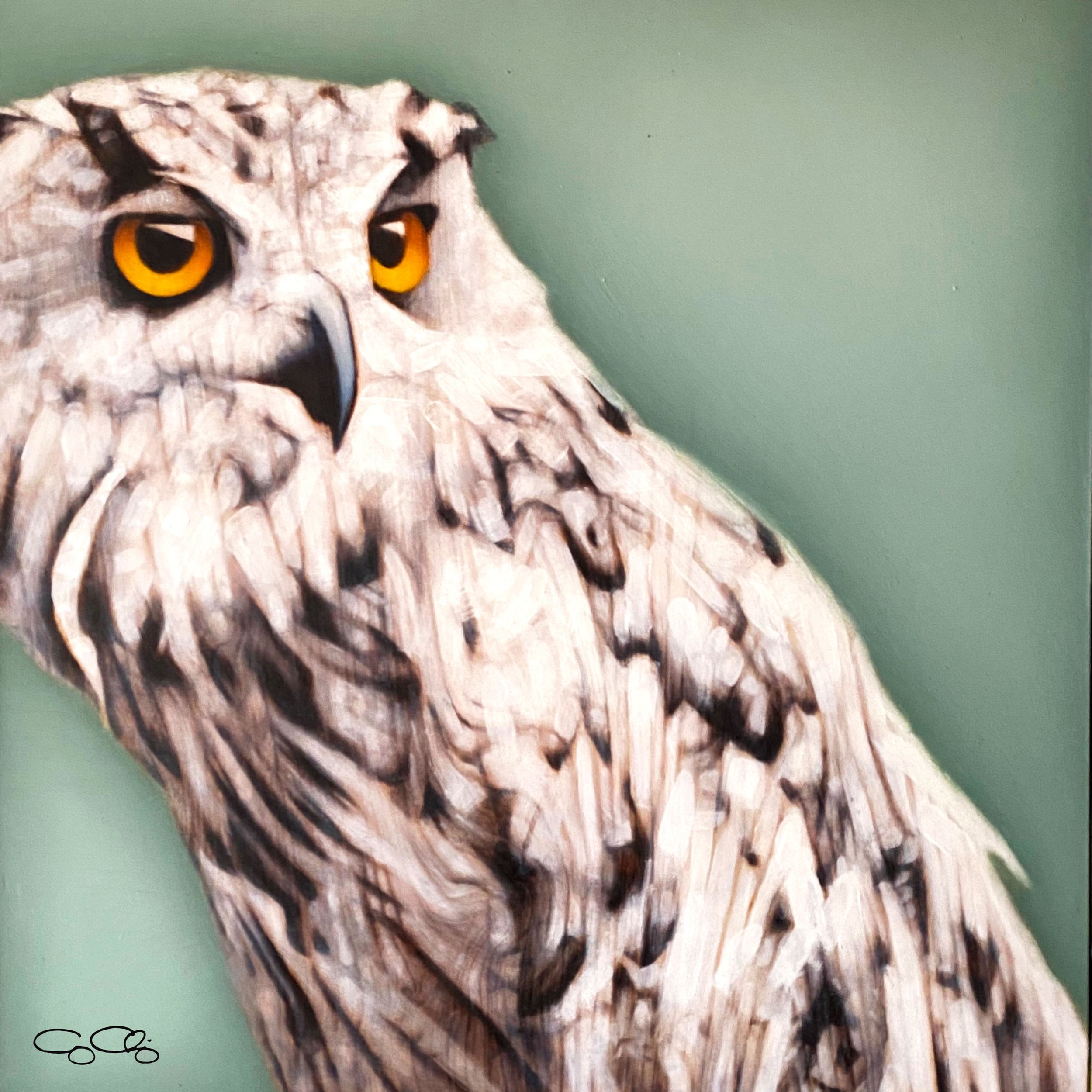 Painted Owl (SOLD)