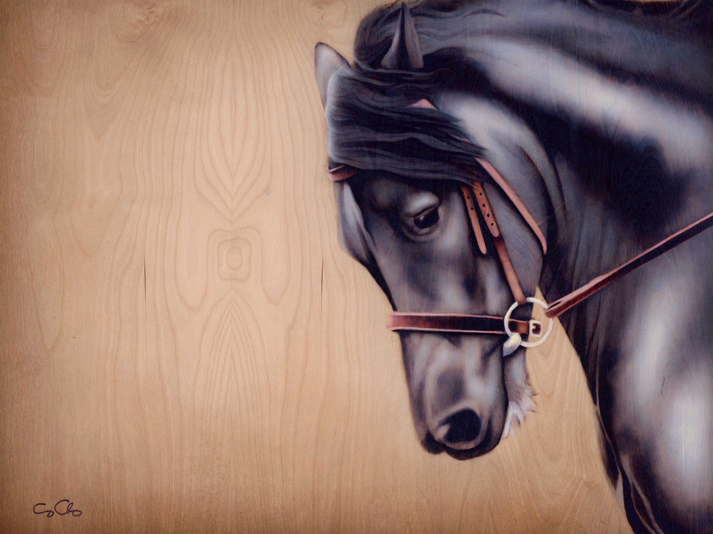 Onyx (SOLD)