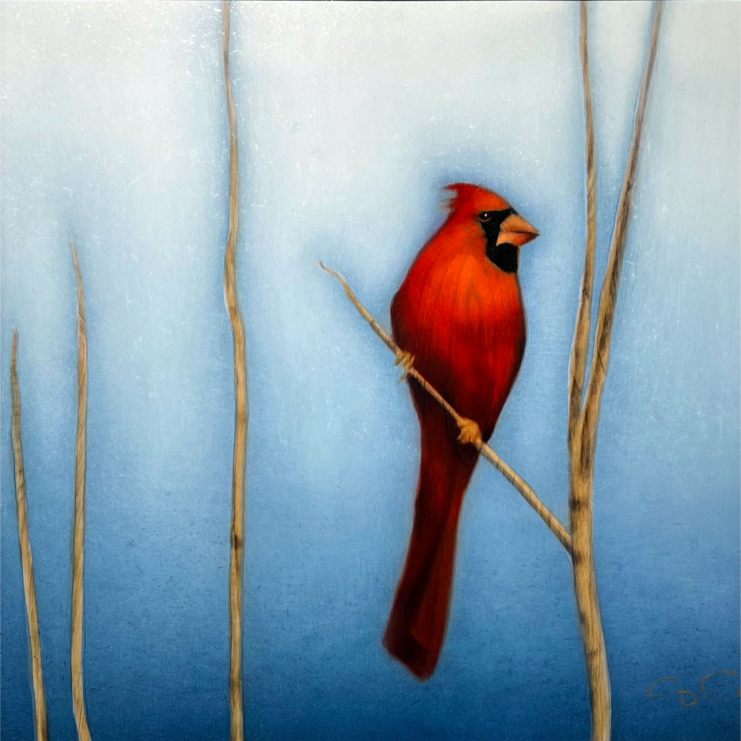 Cardinal Painted (SOLD)