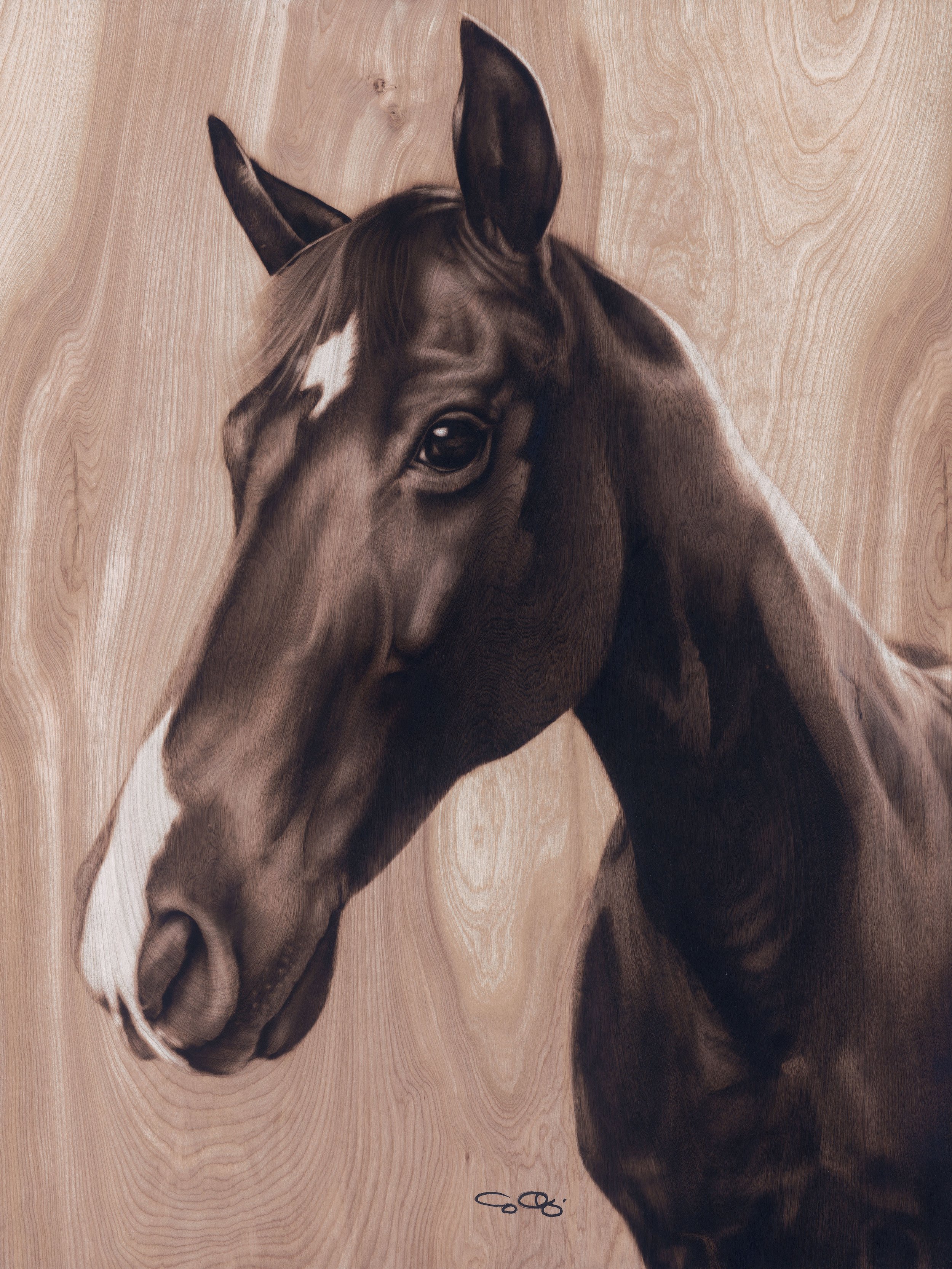 Cash (SOLD)