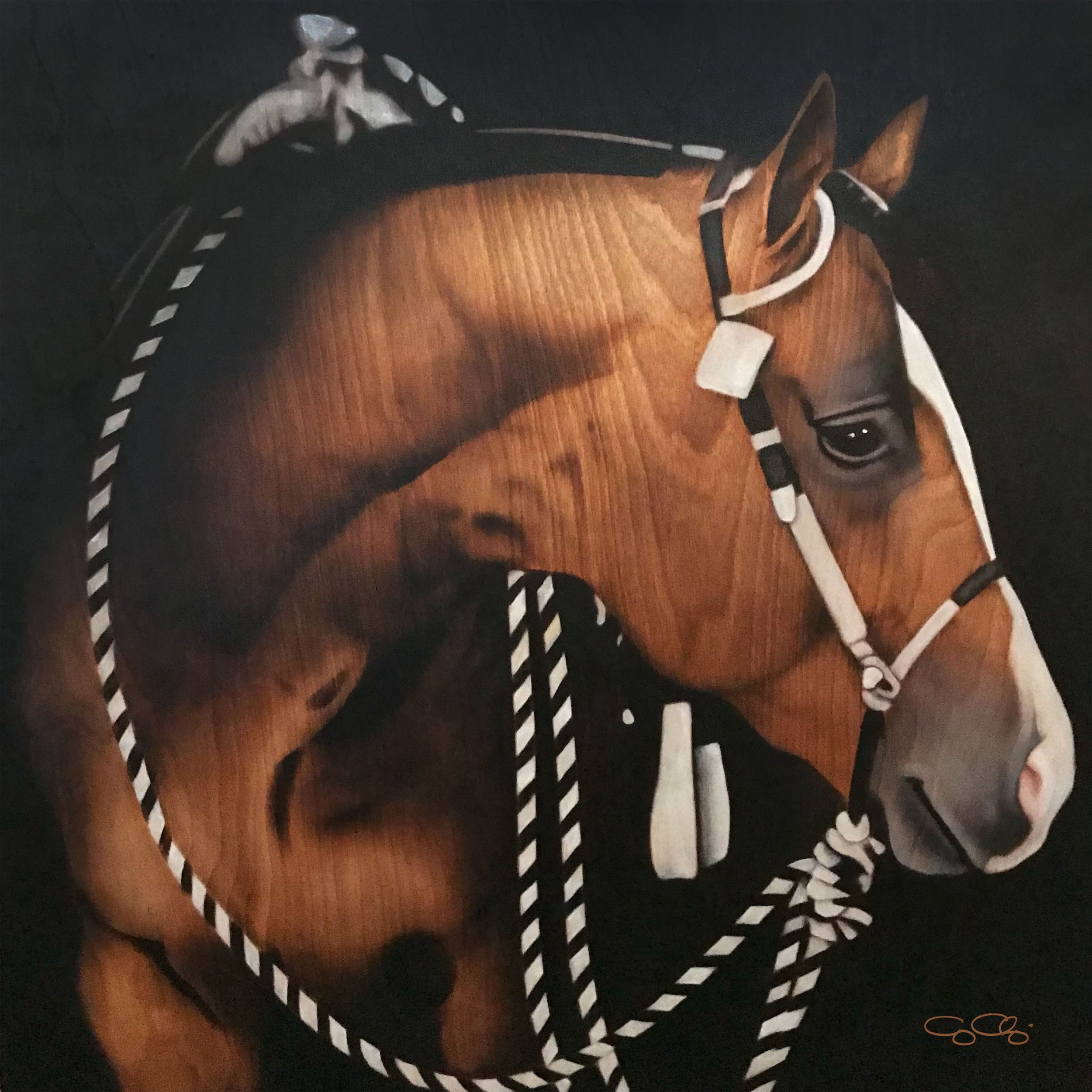 Dexter (SOLD)