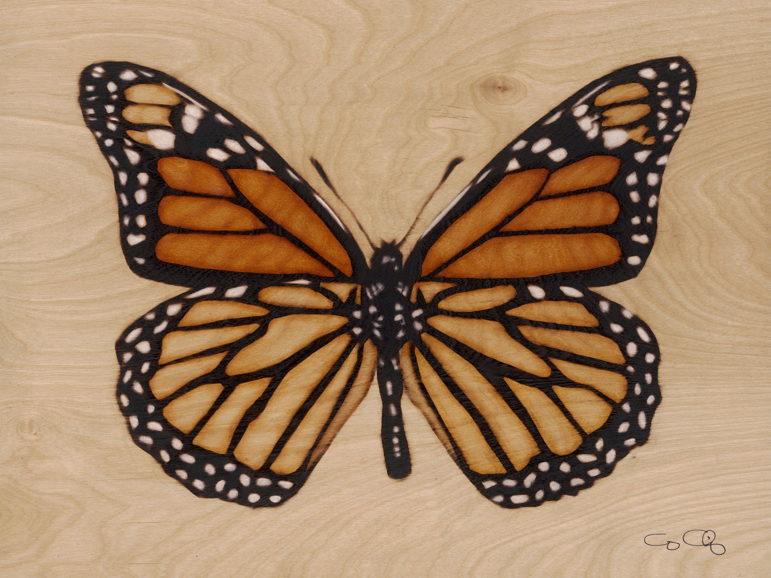Monarch Butterfly (SOLD)