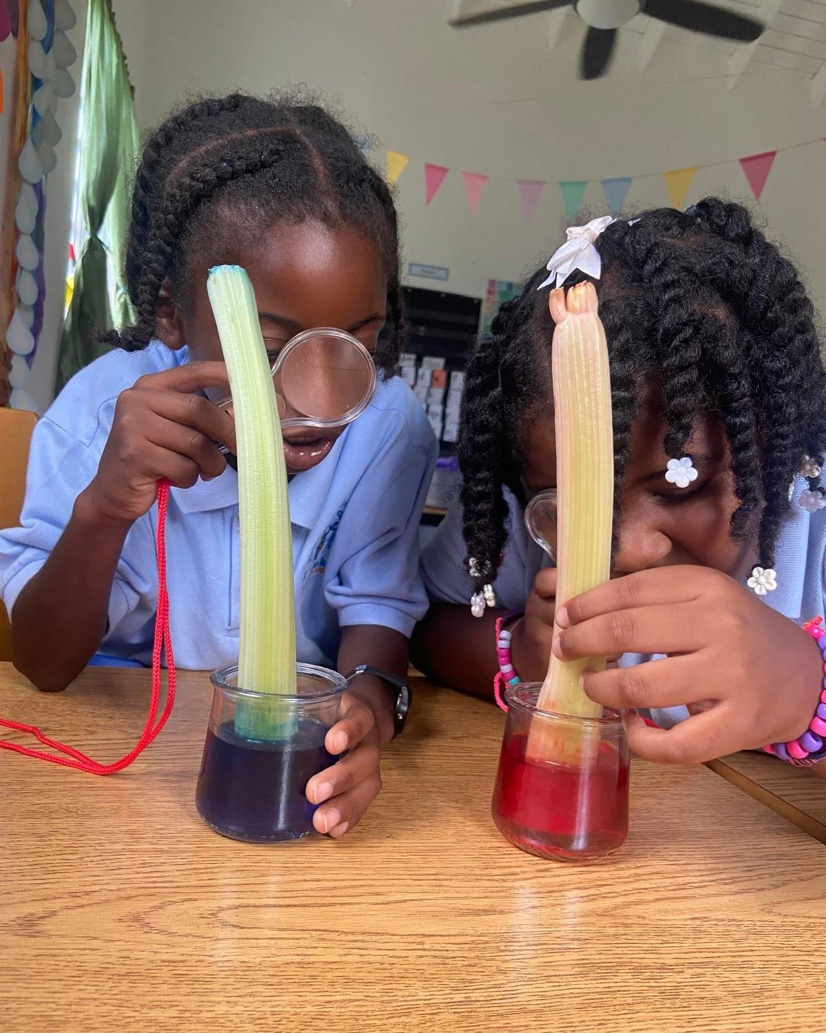 The Omololu International School Grade 2 scientists conducted investigations into seeds, stems, branches and leaves. Scroll through the evidence collected and see what they discovered. 

We are always excited to support young learners and provide han