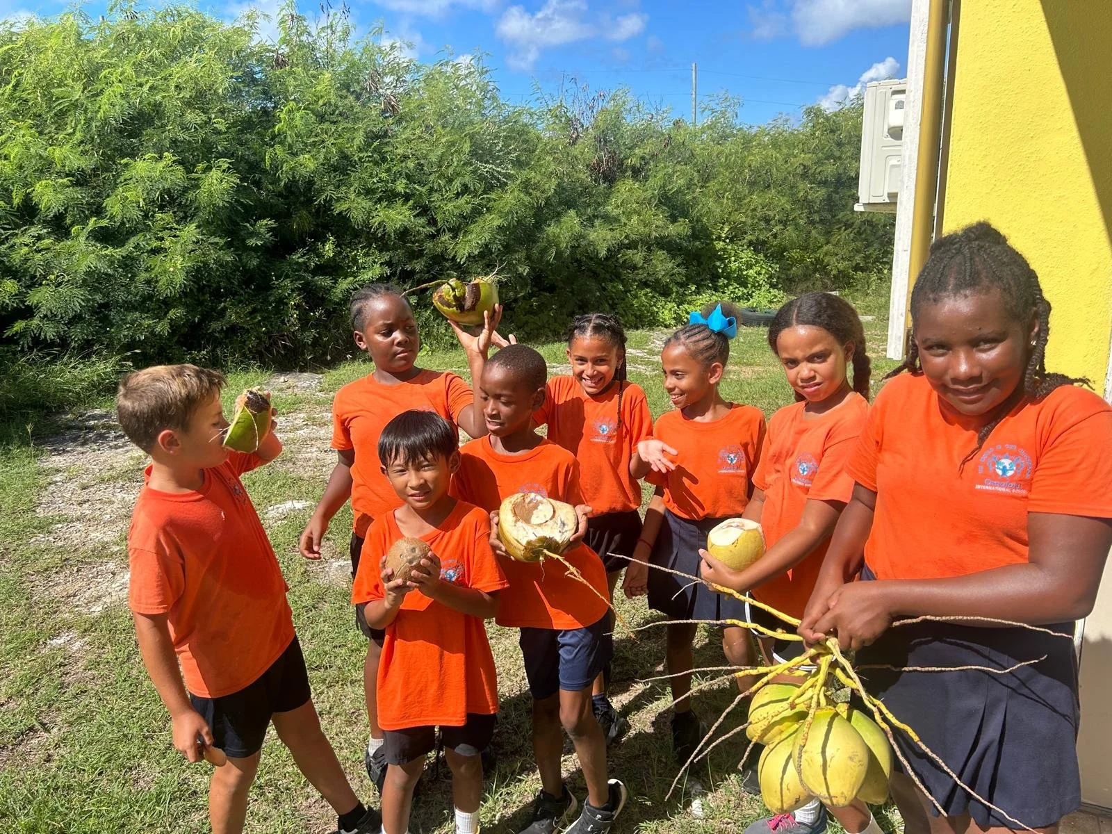 Coconut water is always a good idea!