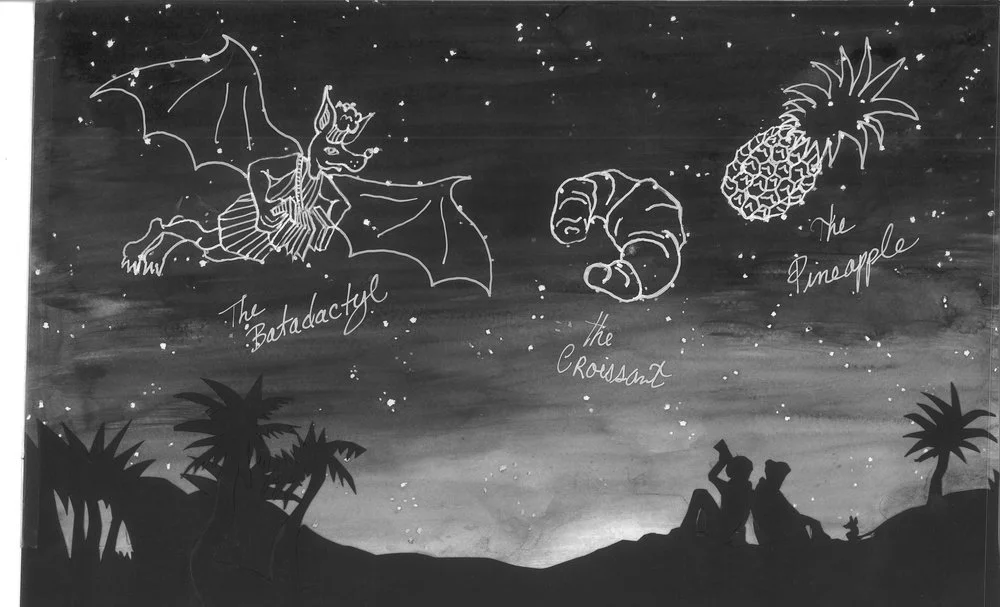 āSouth Madecamia Constellationsā- Collage