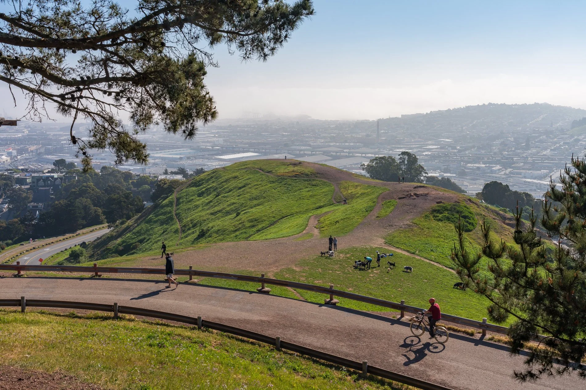 Bernal Heights MLS-6.jpg