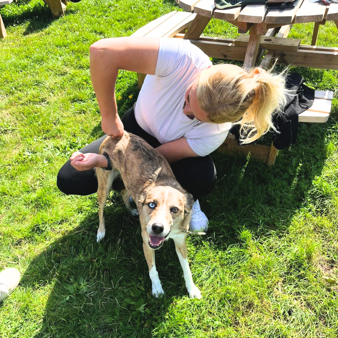 A woman with blond hair sitting on the grass, holding a happy dog with blue eyes. There is a wooden picnic table with a backpack and other items in the background, and the scene is outdoors with sunny weather.