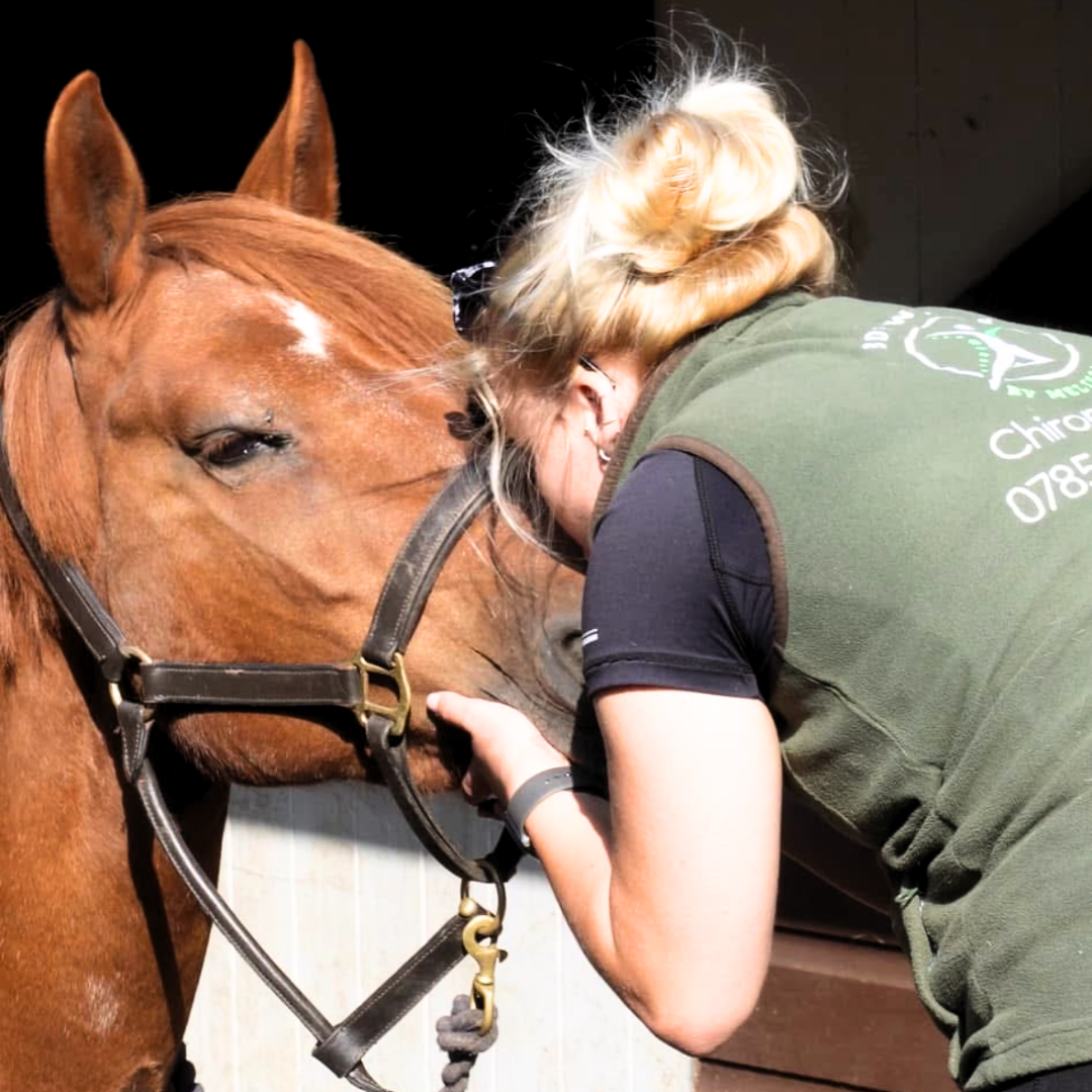 A woman with blonde hair in a bun gently kisses a chestnut horse's nose.