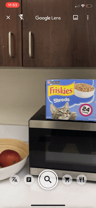 Friskies_Capture_Shreds_02.20.20_v1.gif