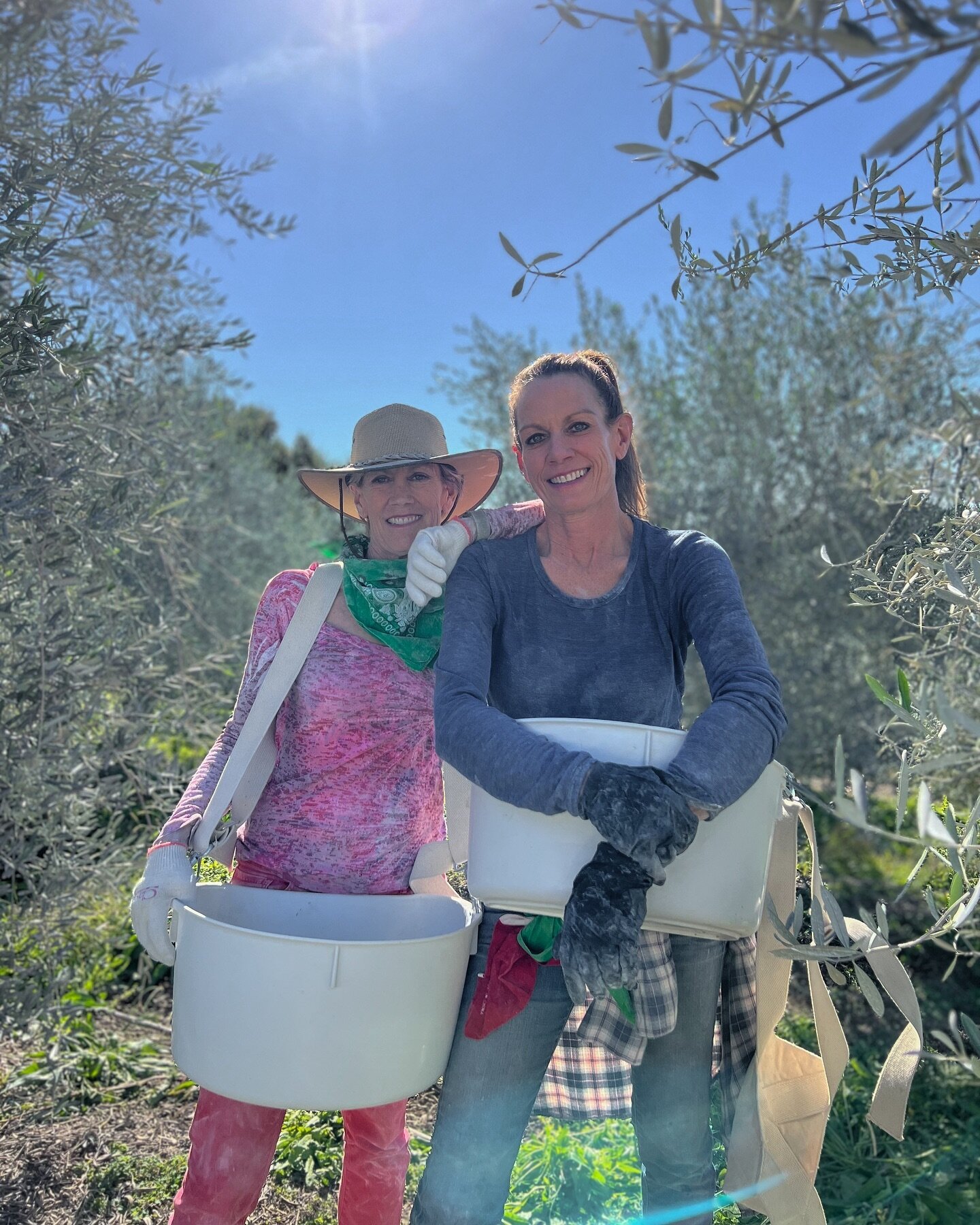 Sabella sisters, Bobbe &amp; Theresa, during our 2023 Harvest this past month ✨