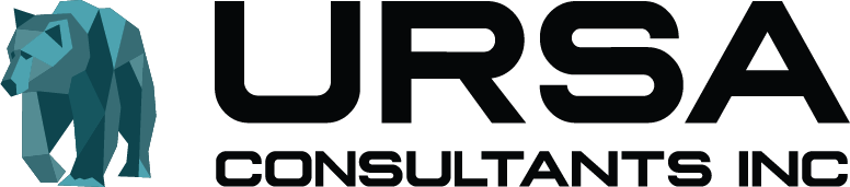 Ursa Consultants Inc