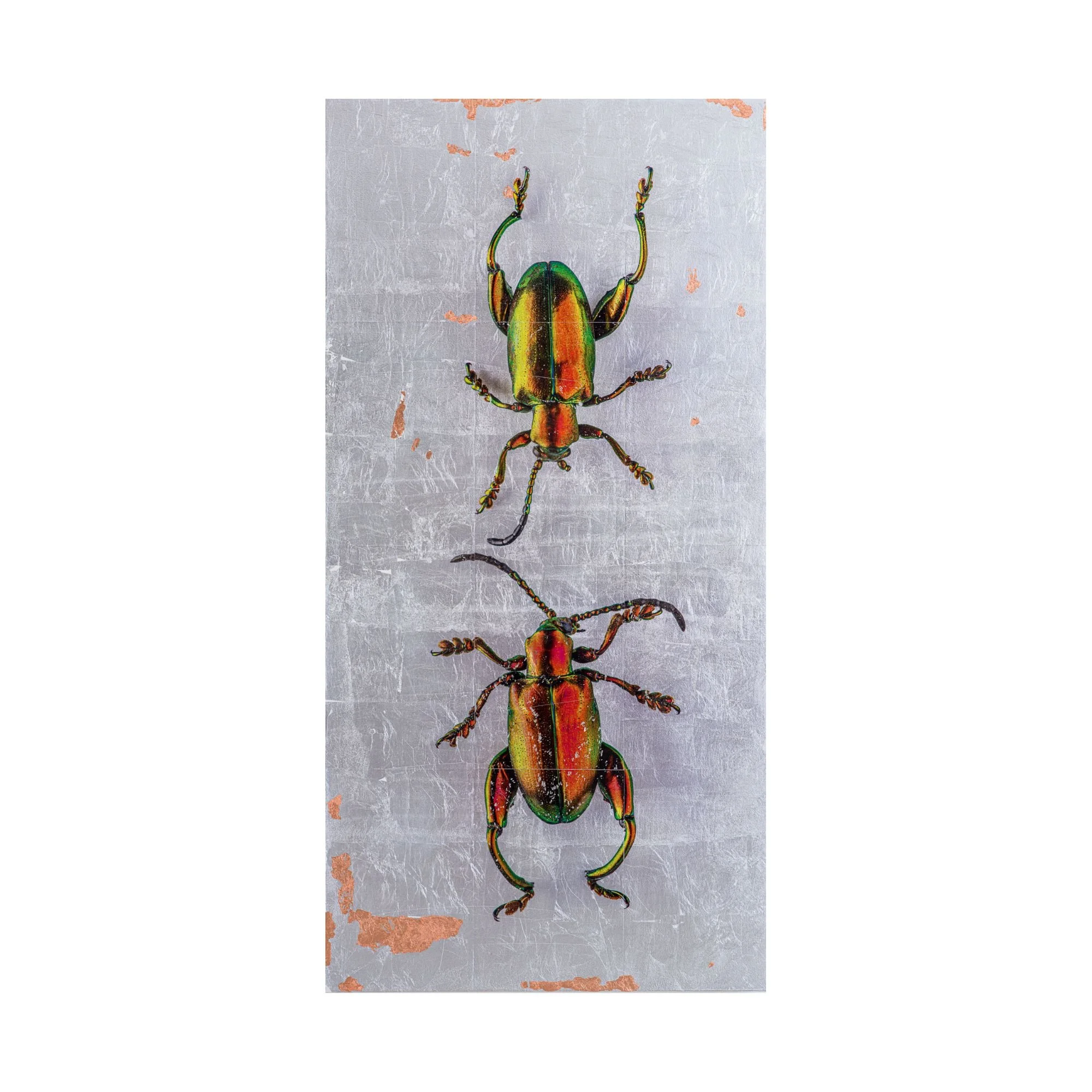 Friends and Companions 3.jpg