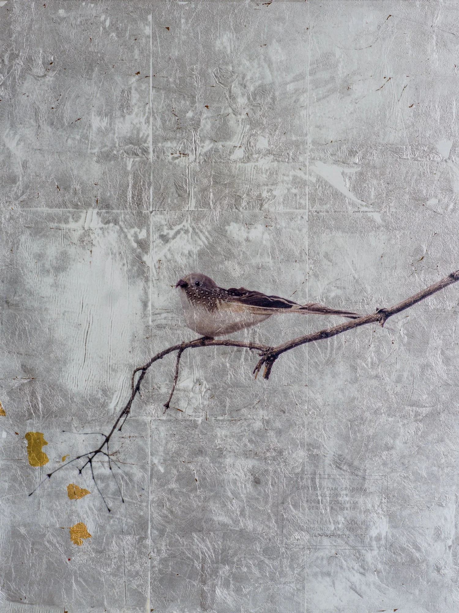 VELESERO Avian Society