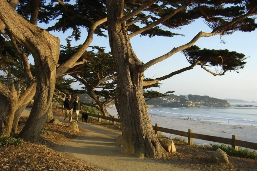 MONTESSORI MEET IN THE MIDDLE: A New Retreat