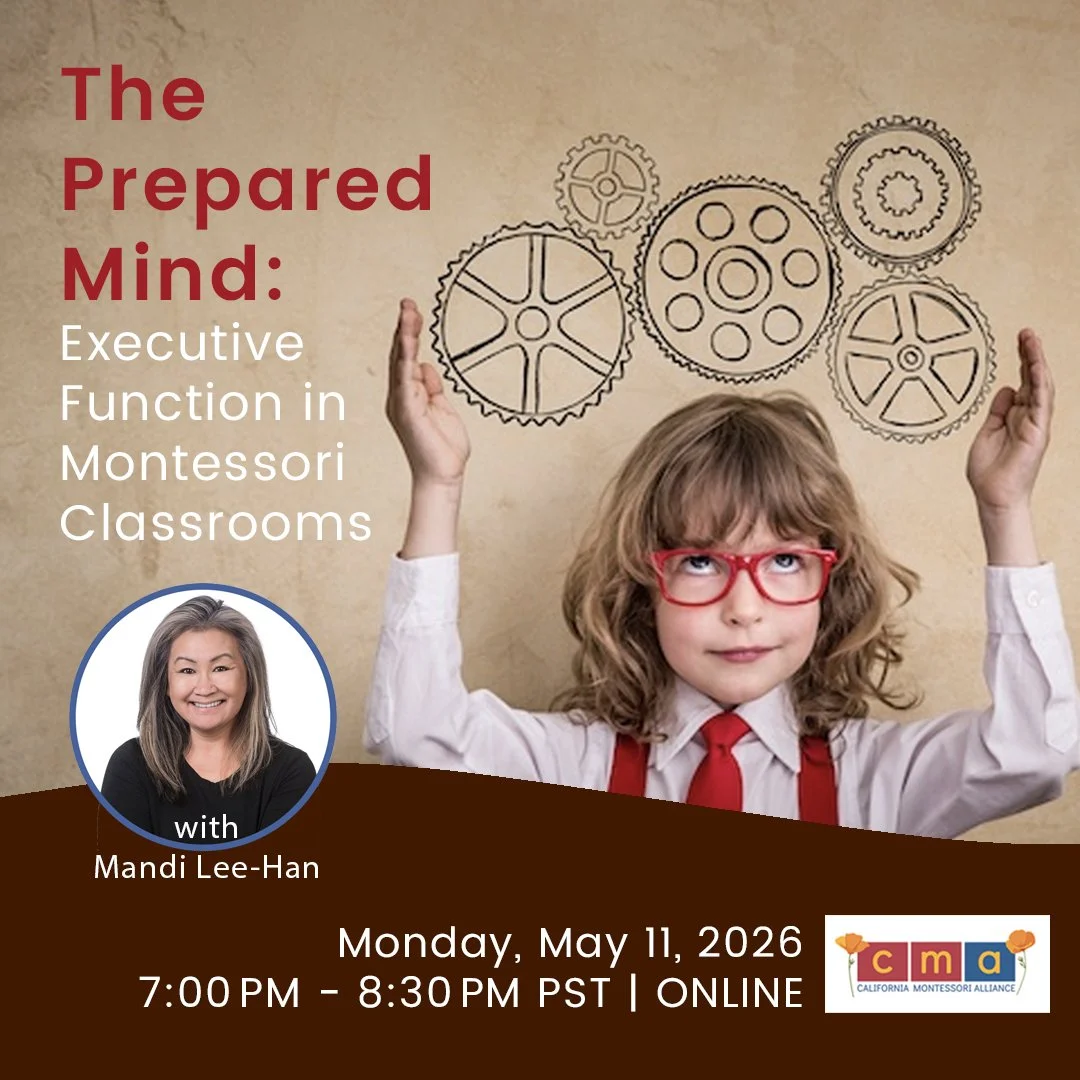 The Prepared Mind: Executive Functioning in Montessori Classrooms
