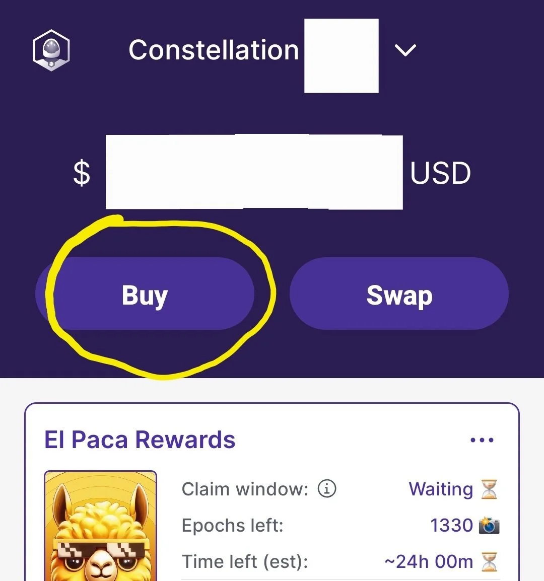 Constellation Wallet.jpeg