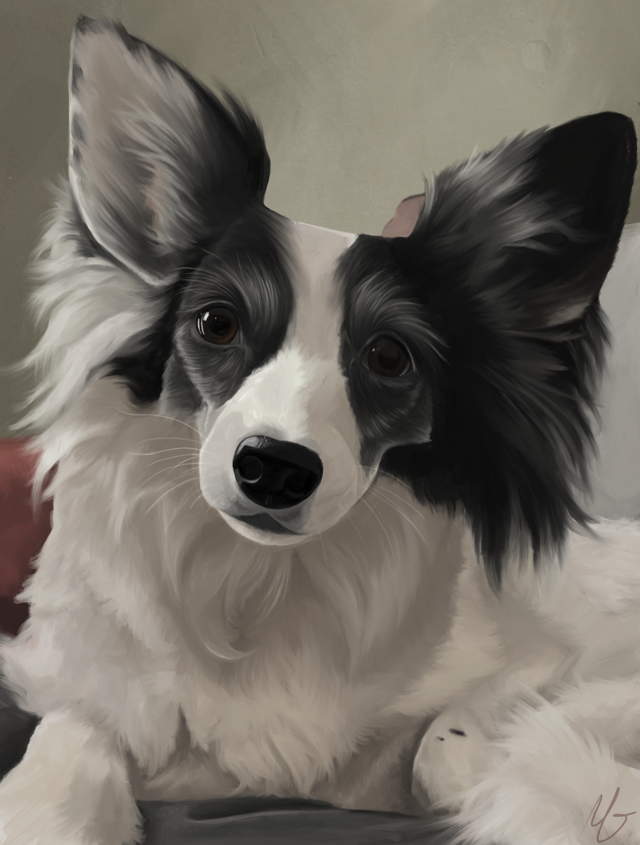 Papillon .png