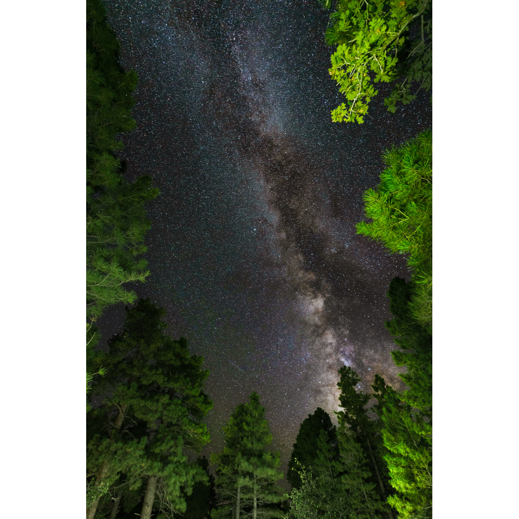 Grand Canyon South Rim - 2023