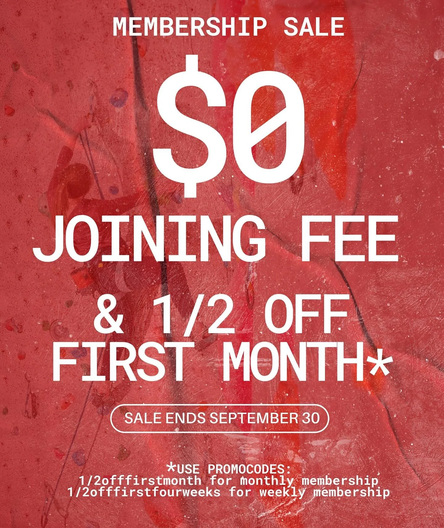 FIXED PROMOCODES! We noticed a typo on our recent post. This post has the correct promocodes! 1/2offfirstmonth for monthly membership and 1/2offfirstfourweeks for the weekly membership are the correct promocodes! Sorry about that:) &mdash;&mdash;&mda