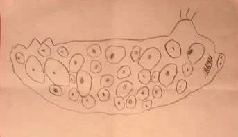 Arts Education Elevator Speech: Everything You See Here Was Imagined